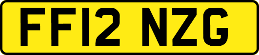 FF12NZG