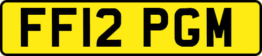 FF12PGM