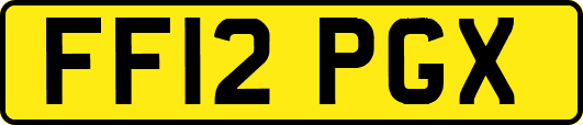 FF12PGX