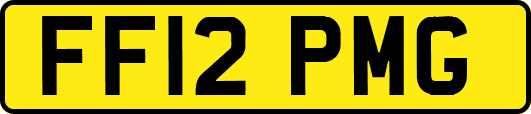 FF12PMG