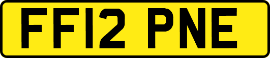FF12PNE