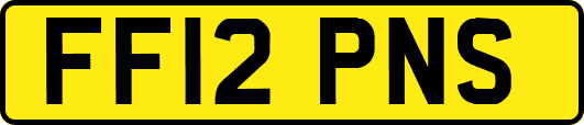 FF12PNS