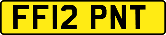 FF12PNT