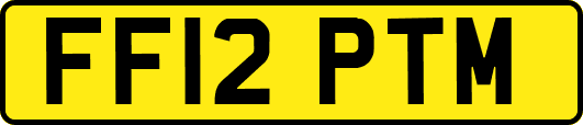 FF12PTM