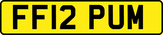 FF12PUM