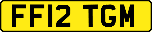FF12TGM