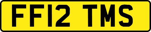 FF12TMS