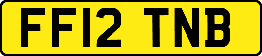 FF12TNB
