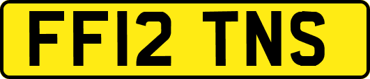 FF12TNS