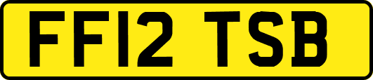 FF12TSB