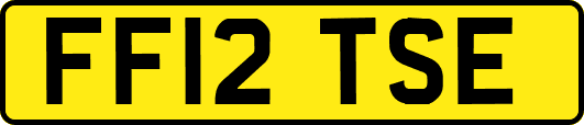 FF12TSE