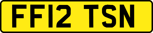 FF12TSN