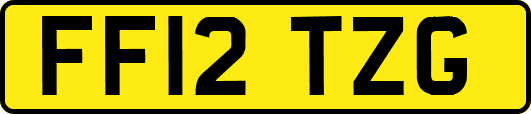 FF12TZG