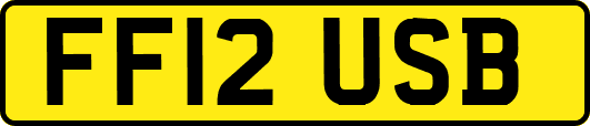 FF12USB