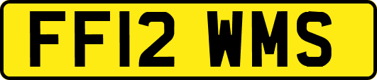 FF12WMS