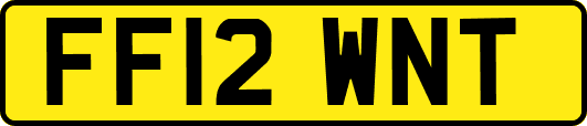 FF12WNT