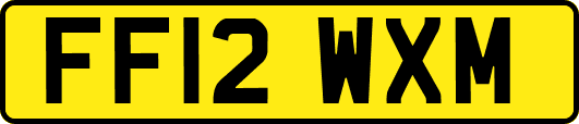 FF12WXM