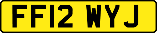 FF12WYJ