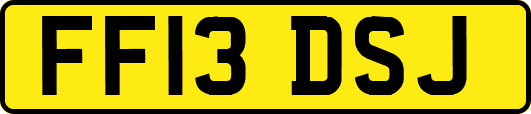 FF13DSJ