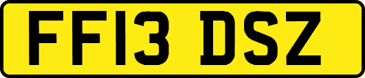 FF13DSZ