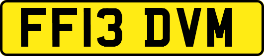 FF13DVM