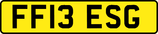 FF13ESG