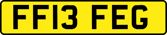 FF13FEG