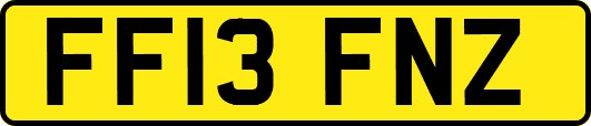 FF13FNZ