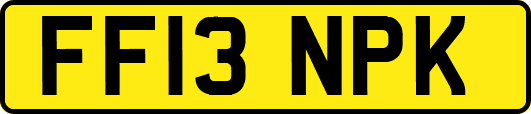FF13NPK