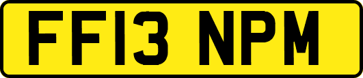 FF13NPM