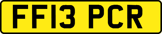 FF13PCR