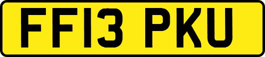 FF13PKU