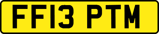 FF13PTM