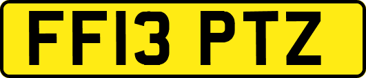 FF13PTZ