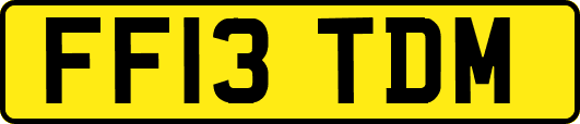FF13TDM