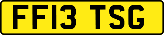 FF13TSG