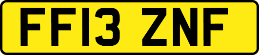 FF13ZNF