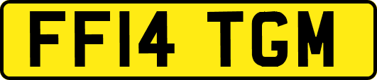 FF14TGM