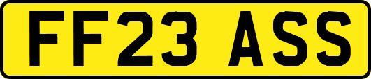 FF23ASS