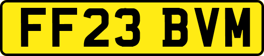 FF23BVM