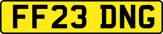 FF23DNG