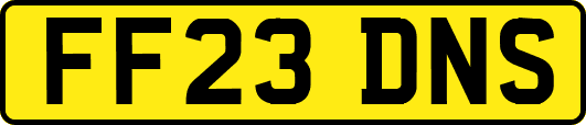 FF23DNS