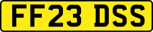 FF23DSS
