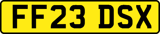 FF23DSX