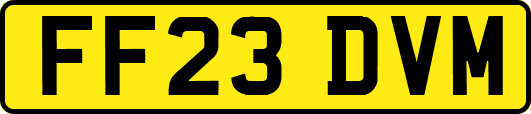 FF23DVM