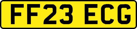 FF23ECG