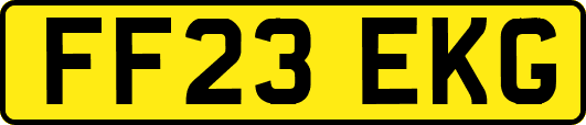 FF23EKG