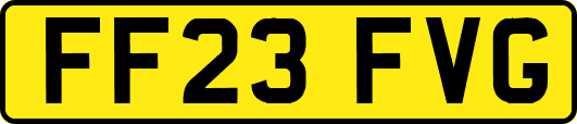 FF23FVG