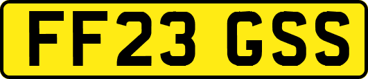 FF23GSS