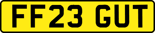 FF23GUT